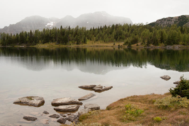 Sunshine Meadows (fot. Beata Muchowska) Sunshine Meadows (fot. Beata Muchowska)