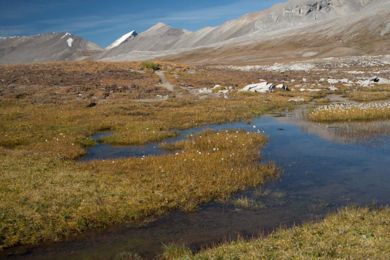 Willcox Pass (fot. Beata Muchowska) Willcox Pass (fot. Beata Muchowska)