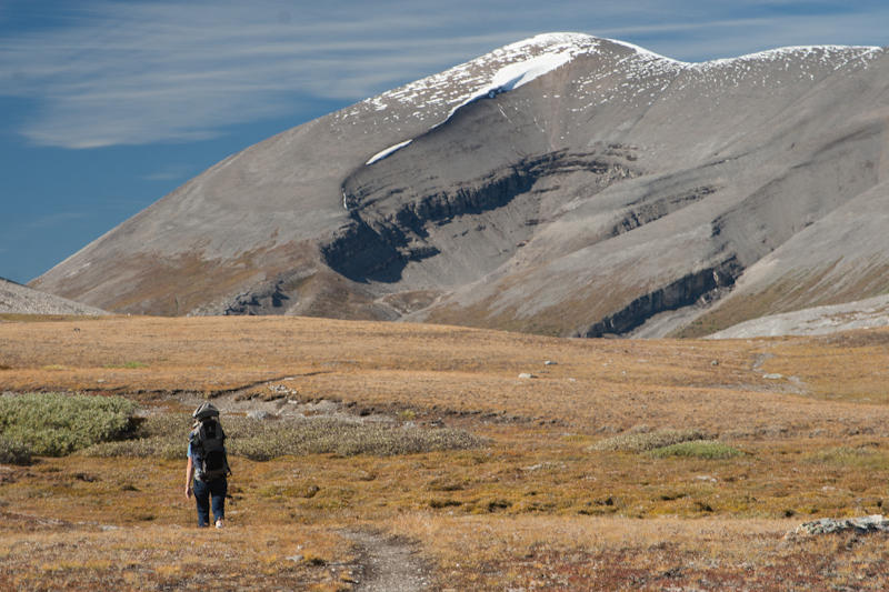 Willcox Pass (fot. Beata Muchowska) Willcox Pass (fot. Beata Muchowska)