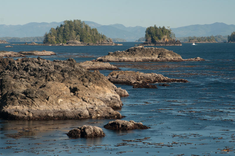 East Sooke Park (fot. Beata Muchowska) East Sooke Park (fot. Beata Muchowska)