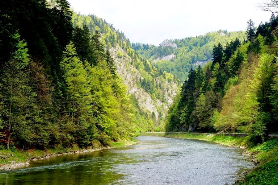 Przełom Dunajca w Pieninach, fot. Mirosława Jeż