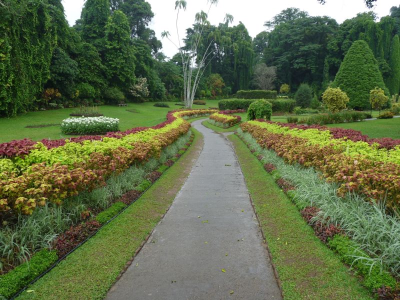 Ogrody Botaniczne w Peradeniya (fot. Darek Dąbrowski) Ogrody Botaniczne w Peradeniya (fot. Darek Dąbrowski)