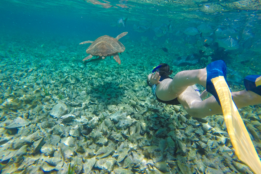 Snorkeling w Belize Snorkeling w Belize
