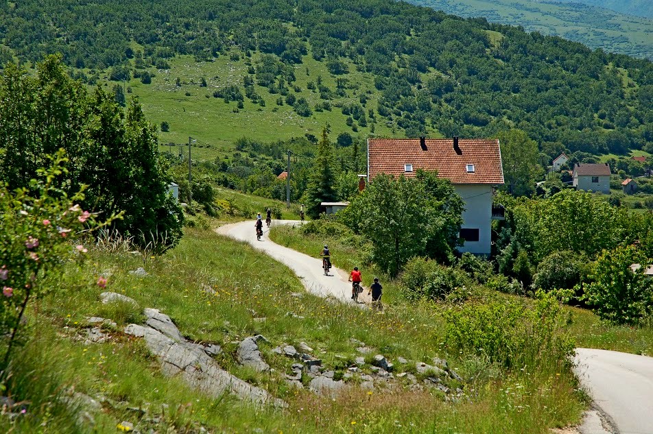 fot. Michał Pędziszewski fot. Michał Pędziszewski