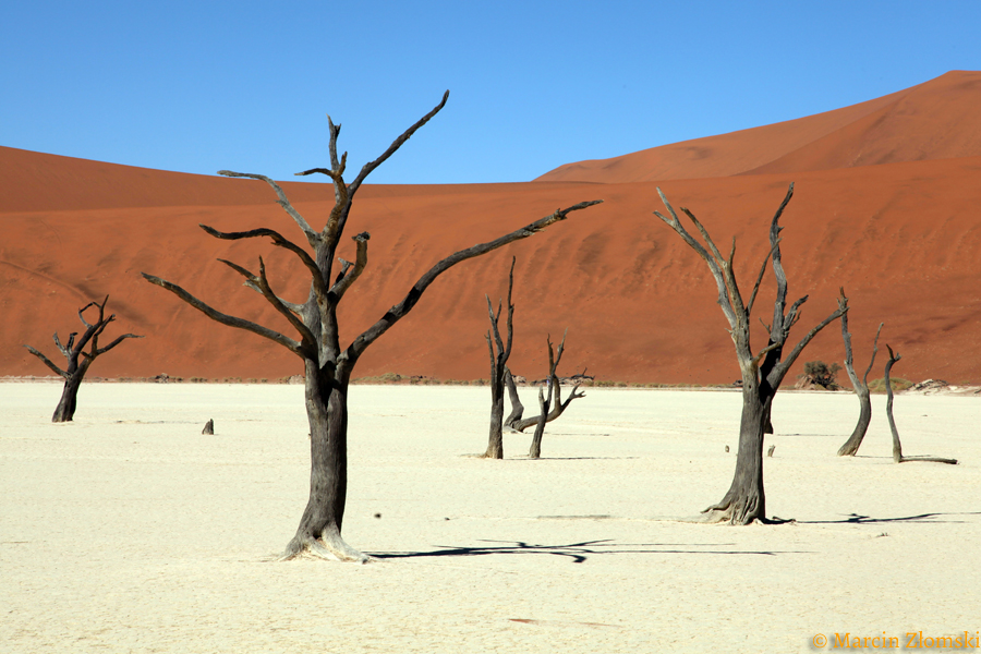 Surowy krajobraz Namibii