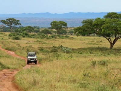 PN Murchison Falls, fot. T. Liptak PN Murchison Falls, fot. T. Liptak