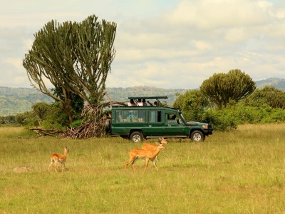 Safari w Parku Narodowy Queen Elizabeth, fot. T. Liptak Safari w Parku Narodowy Queen Elizabeth, fot. T. Liptak