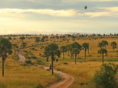 Safari w Parku Narodowym Murchison Falls, fot. T. Liptak Safari w Parku Narodowym Murchison Falls, fot. T. Liptak