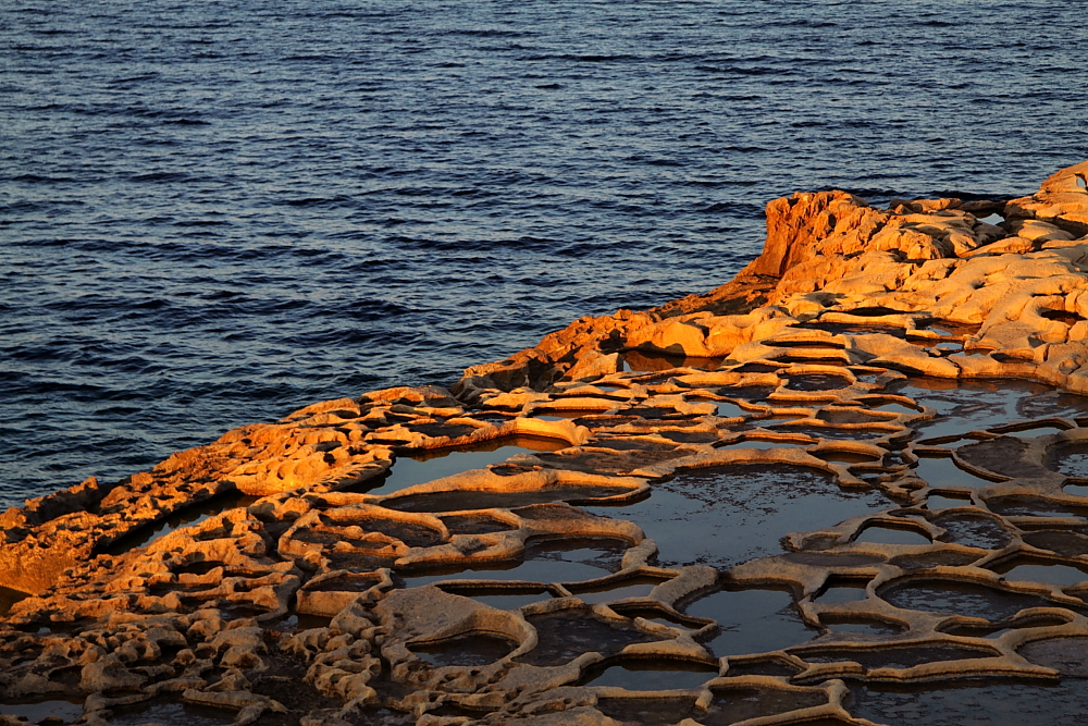 Solniska na Gozo (fot. S. Adamczak, okfoto.pl)