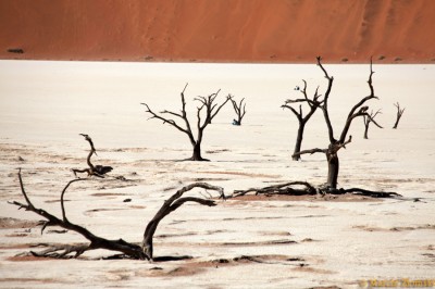 PN Namib-Naukluf