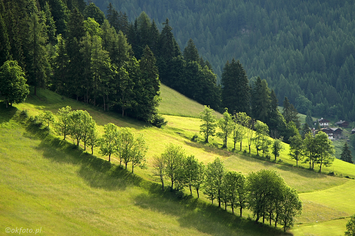 Dolomity (fot. S. Adamczak, okfoto.pl)