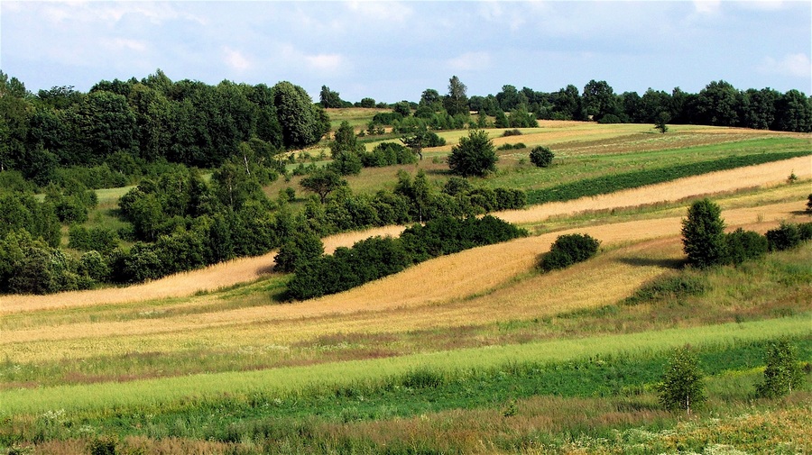 Krajobraz Roztocza