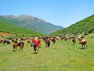 Okolice Permet (fot. Ana Shtrepi)