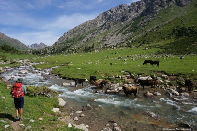 Dolina Jergez