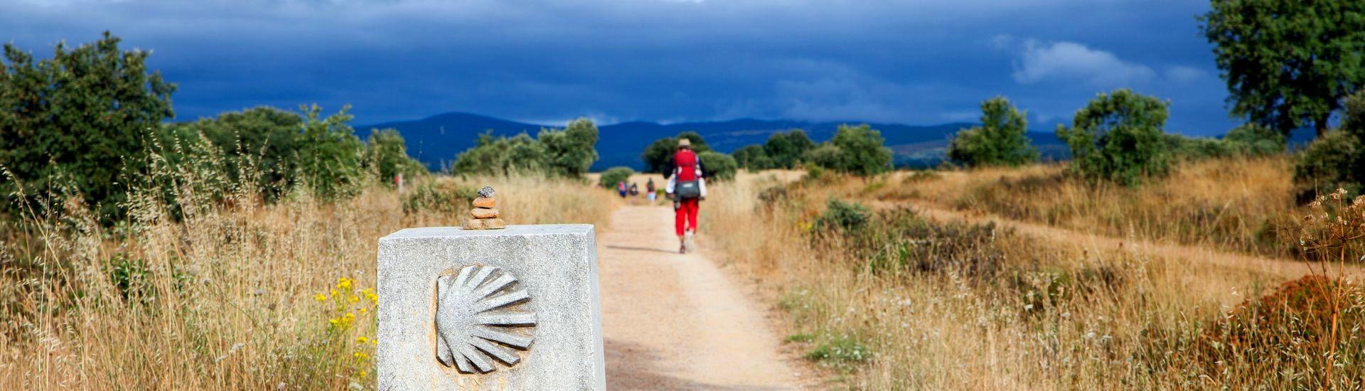 Camino Francés pieszo
