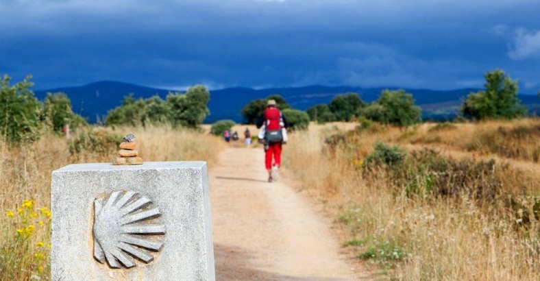 Camino Francés pieszo