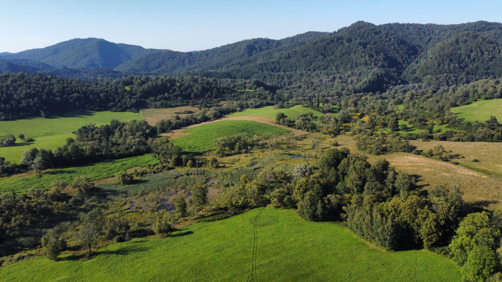 Bieszczady latem